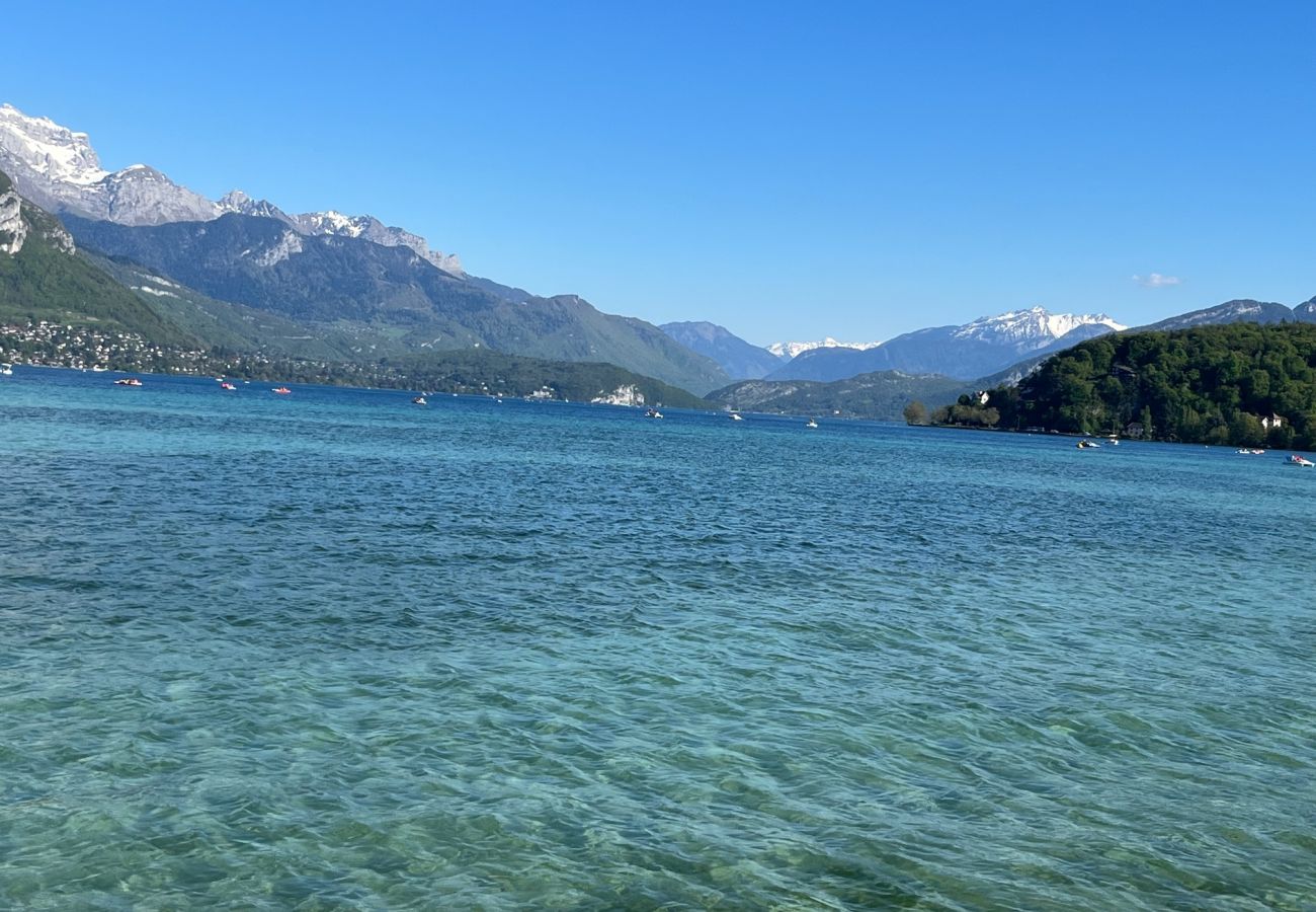 Apartment in Annecy - View Point Lake and Mountains 4* - OG IMMO