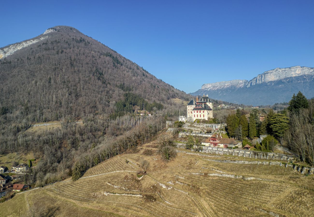 Apartment in Menthon-Saint-Bernard - Les Côteaux du Château - OG IMMO