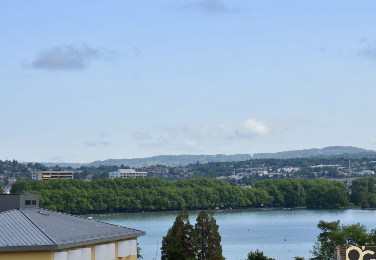 Apartamento en Annecy - View Point green lake 4* - OG IMMO